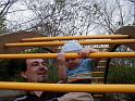 zoo-monkey bars5